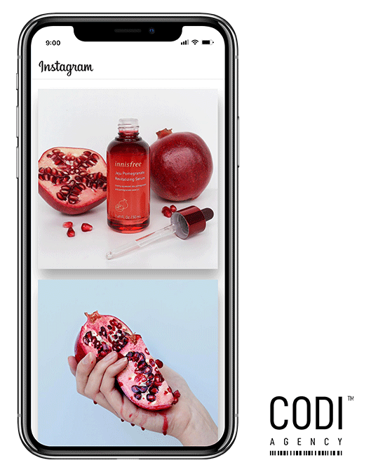 innisfreephone_2